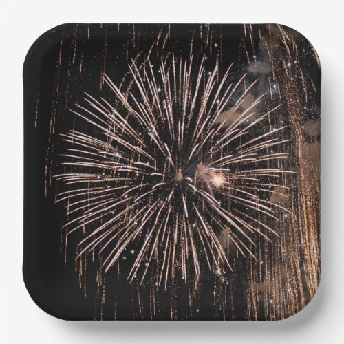 Fireworks Display On Black Sky Paper Plates