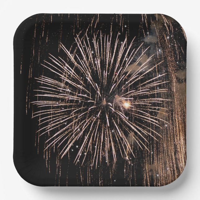 Fireworks Display On Black Sky Paper Plates (Front)