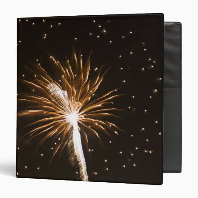 Fireworks display on Savannah River Binder (Front/Inside)