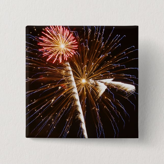 Fireworks display on Savannah River Pinback Button (Front)