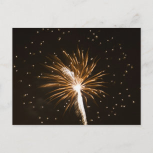 Fireworks display on Savannah River Postcard