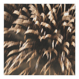 Fireworks Faux Canvas Print