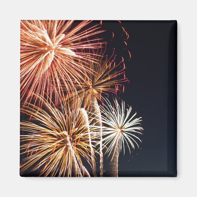 Fireworks P0541 Magnet (Front)