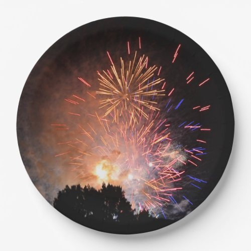 Fireworks Paper Plate