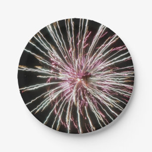 Fireworks Paper Plates