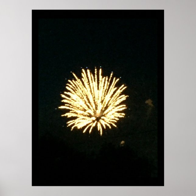 Fireworks Photo Poster (Front)