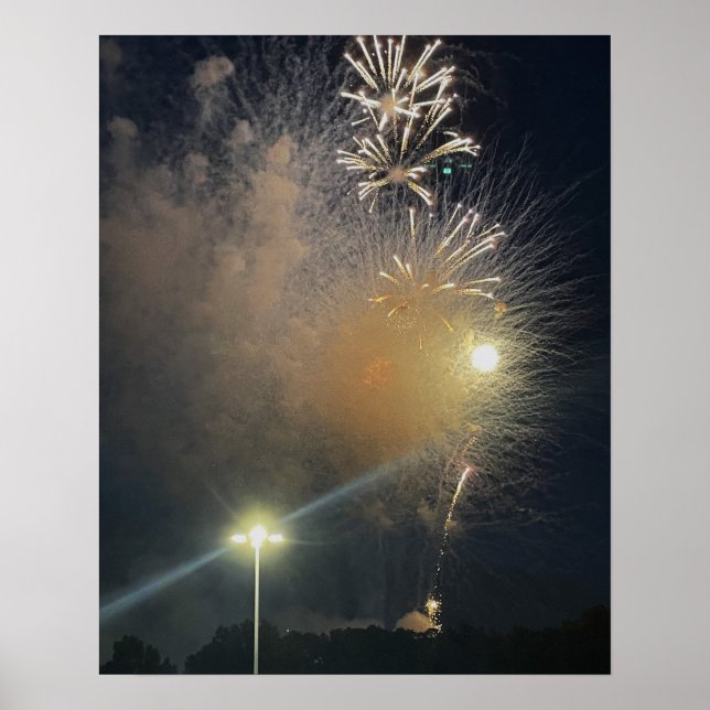 Fireworks Photo Poster (Front)