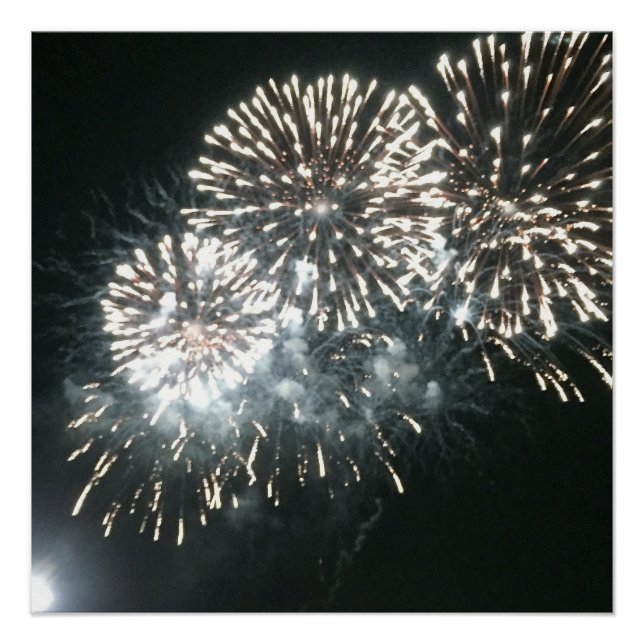 Fireworks Photo Poster (Front)