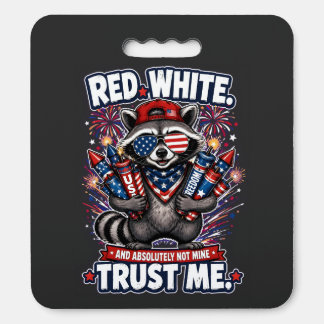 Fireworks Raccoon 4th of July Cushion