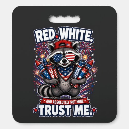 Fireworks Raccoon 4th of July Cushion