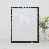 Fireworks, Toronto, Ontario, Canada (Standing Front)