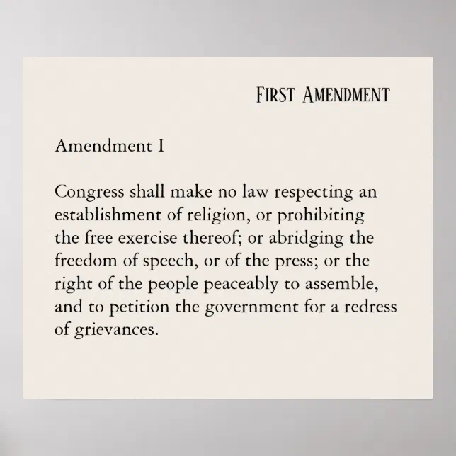First Amendment Constitution Freedom of Speech Poster | Zazzle