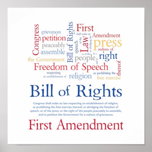 First Amendment Rights _ Freedom of Speech Poster