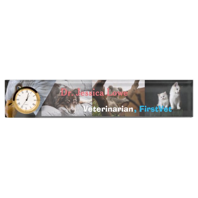 First and Best Veterinarian Care Acrylic  Desk Name Plate (Front)