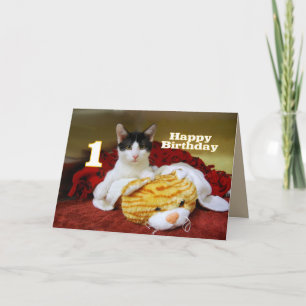 First Birthday Kitten with Toy Tiger Card