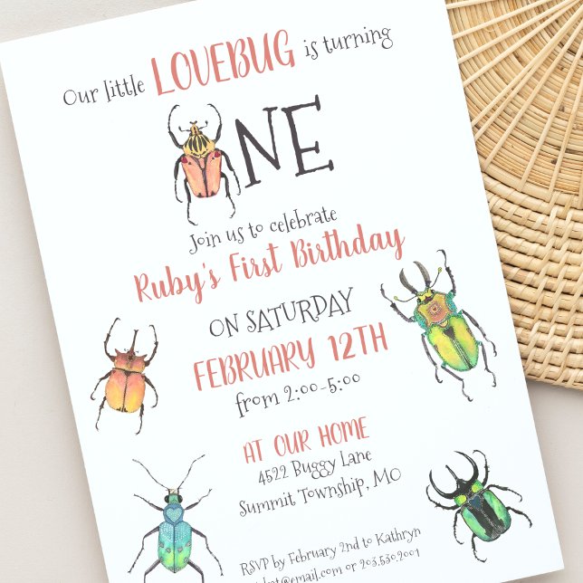 First Birthday Love Bugs Invitation (Creator Uploaded)