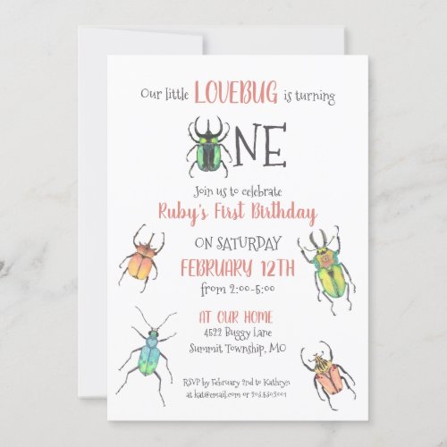 First Birthday Love Bugs Invitation