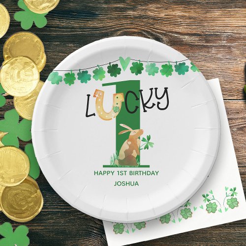 First Birthday Lucky One Irish Theme Party Paper Plates