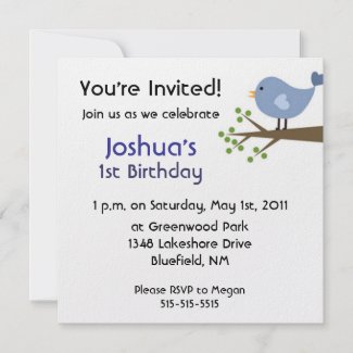 first birthday party invitation invitation