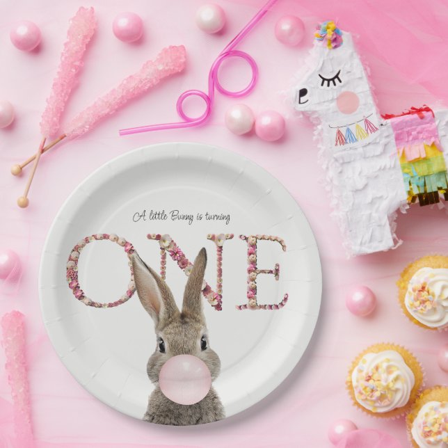 First Birthday Rabbit Blowing Pink Bubble gum   Paper Plates (Party)