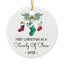 First Christmas As A Family Of Three 2025