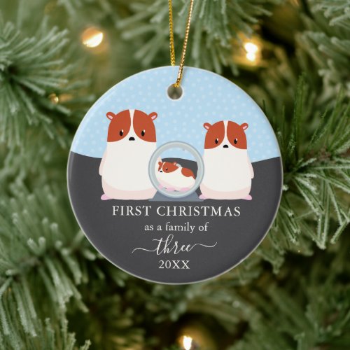 First Christmas as Family of 3 Hamster Animal Ceramic Ornament