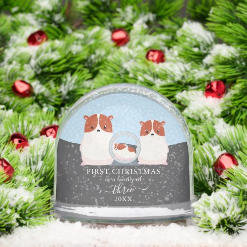 First Christmas as Family of 3 Hamster Animal Snow Globe