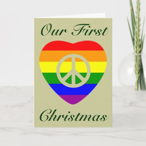 FIRST CHRISTMAS AS MARRIED GAY COUPLE HOLIDAY CARD