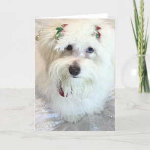 First Christmas Card