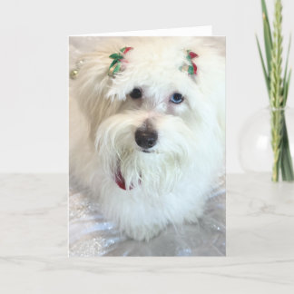 First Christmas Card