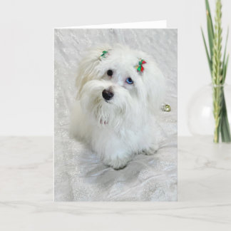 First Christmas Card