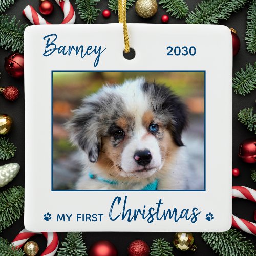 First Christmas Cute Puppy _ Blue Dog Pet Photo Ceramic Ornament