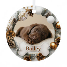 First Christmas Cute Puppy Dog Cat Photo