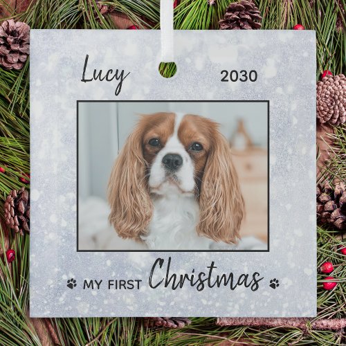 First Christmas Cute Puppy _ Silver Dog Pet Photo Glass Ornament