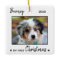 First Christmas Cute Puppy - Simple Dog Pet Photo