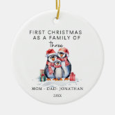 https://rlv.zcache.com/first_christmas_family_of_three_penguins_ceramic_ornament-rb34c146946c54ab88b0337cab3600278_x7s2y_8byvr_166.jpg