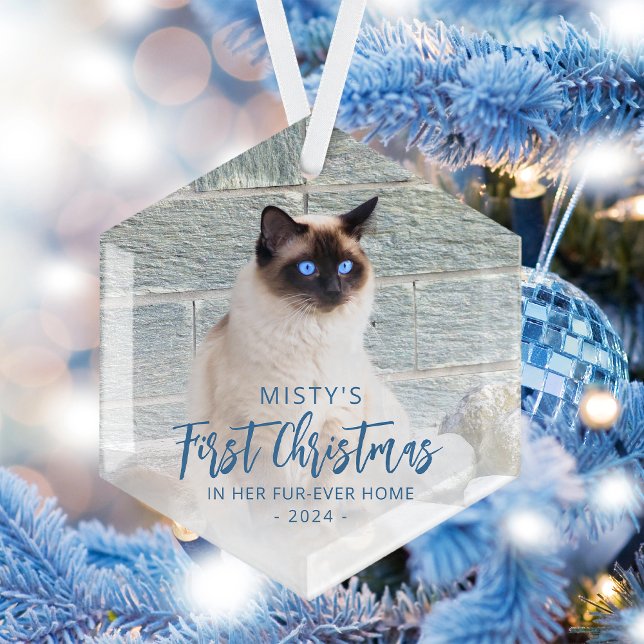 First Christmas Forever Home Pet Photo Blue Glass Ornament (Creator Uploaded)