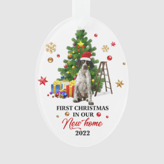 First Christmas in our New House 2022 | Cute gift Ornament