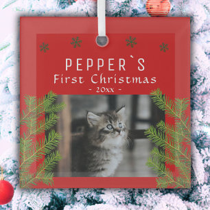 First Christmas Kitten Cat Pine Photo Keepsake Glass Ornament