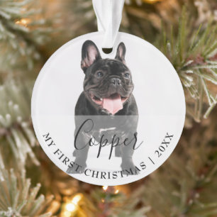 First Christmas Pet 2 Photo Script Name Ornament
