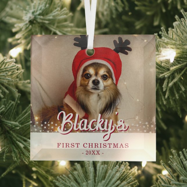 First Christmas Puppy Photo White Stars Glass Ornament (Insitu)