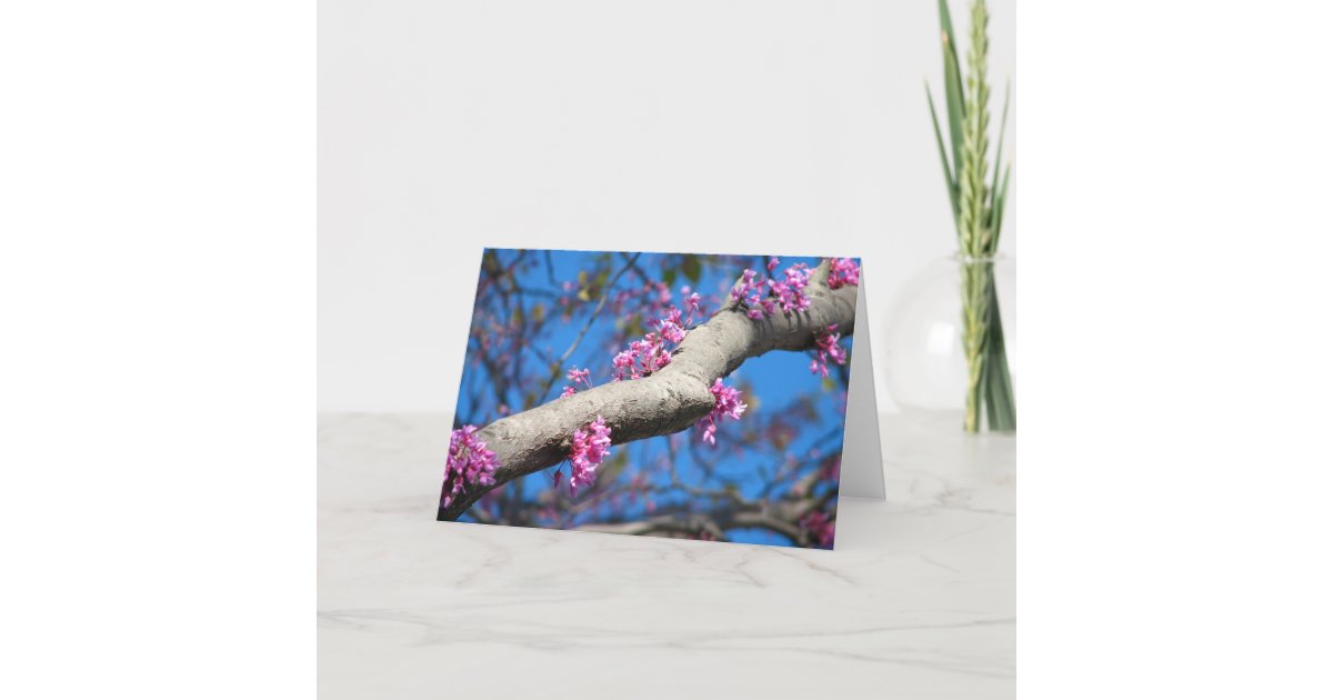 First Day of Spring Card Zazzle