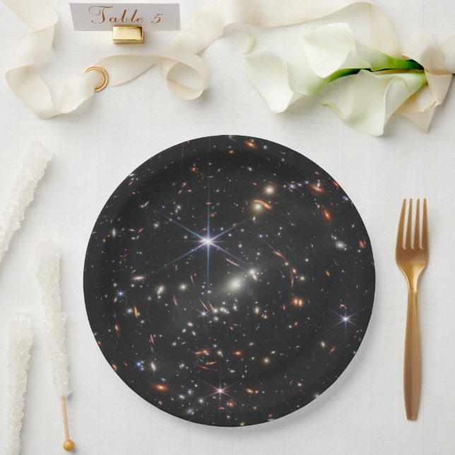 First Deep Field of Universe from James webb Paper Plates (Wedding)