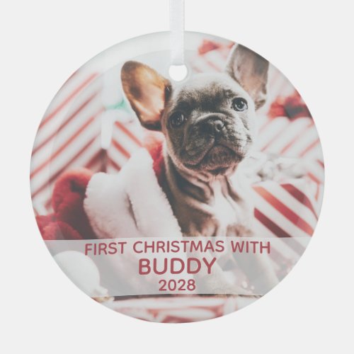 First dog Christmas photo  name cute Glass Ornament