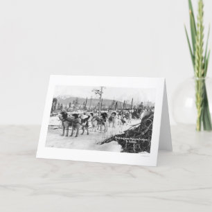 First Dog Team Alaska 1910 Card