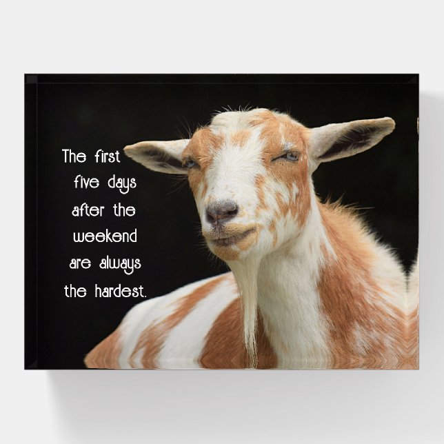 First Five Days Paperweight (Front)