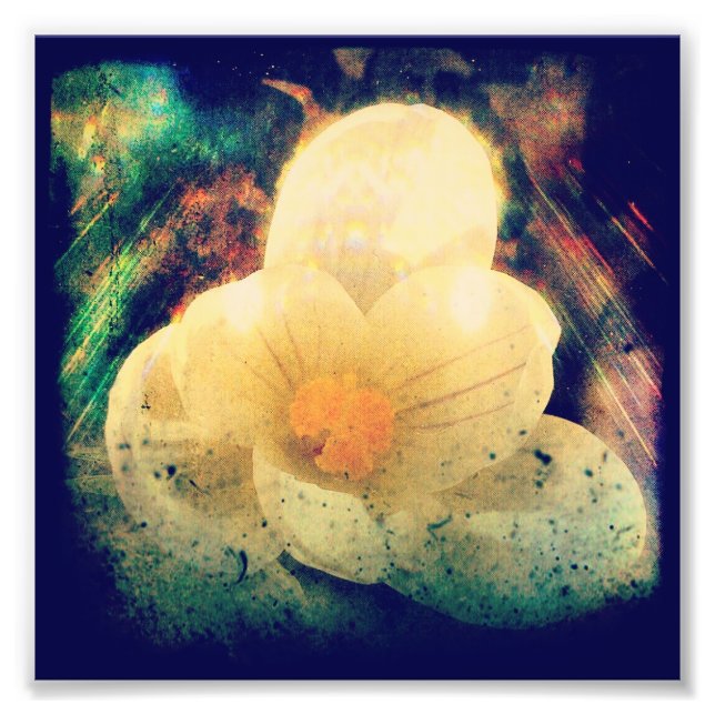First Flower of Spring Photo Print (Front)