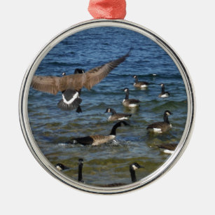 First goose to fly, geese on Lake Arrowhead Metal Ornament