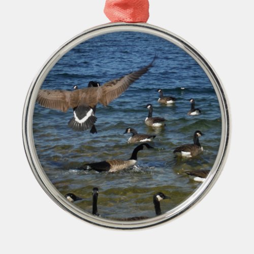 First goose to fly geese on Lake Arrowhead Metal Ornament