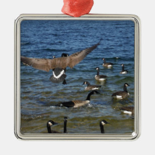 First goose to fly, geese on Lake Arrowhead Metal Ornament